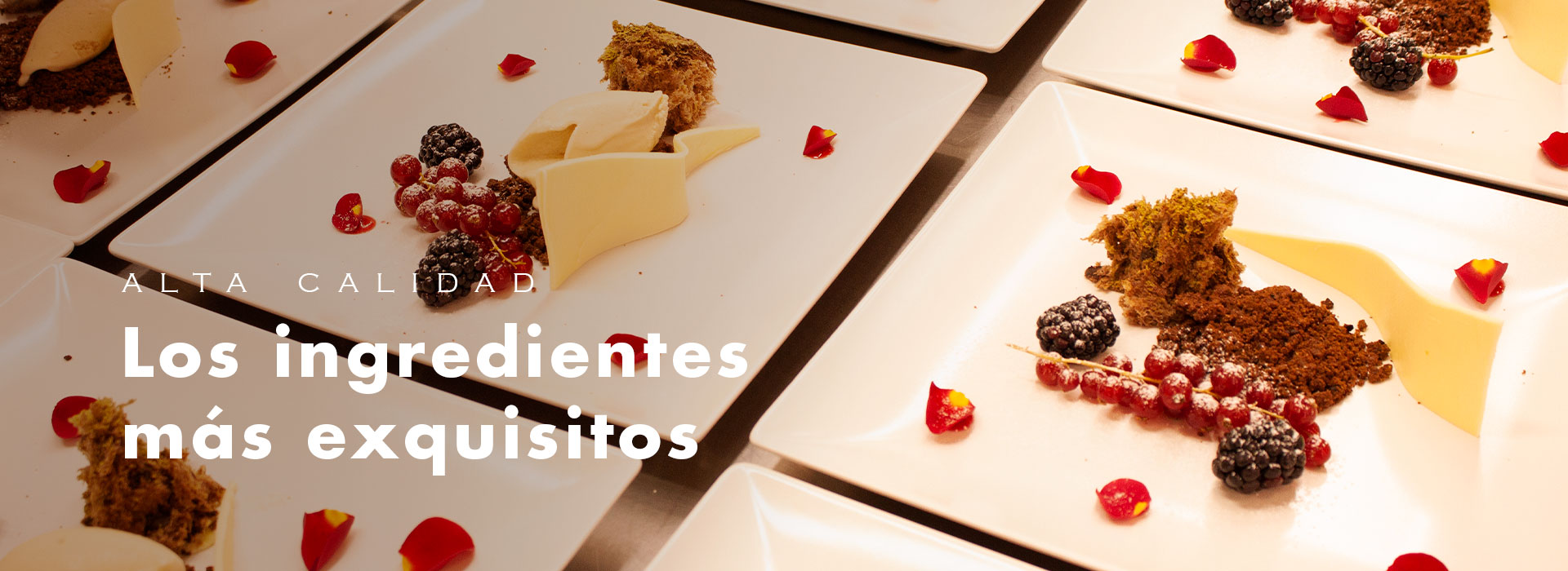 Elaboracion de recetas